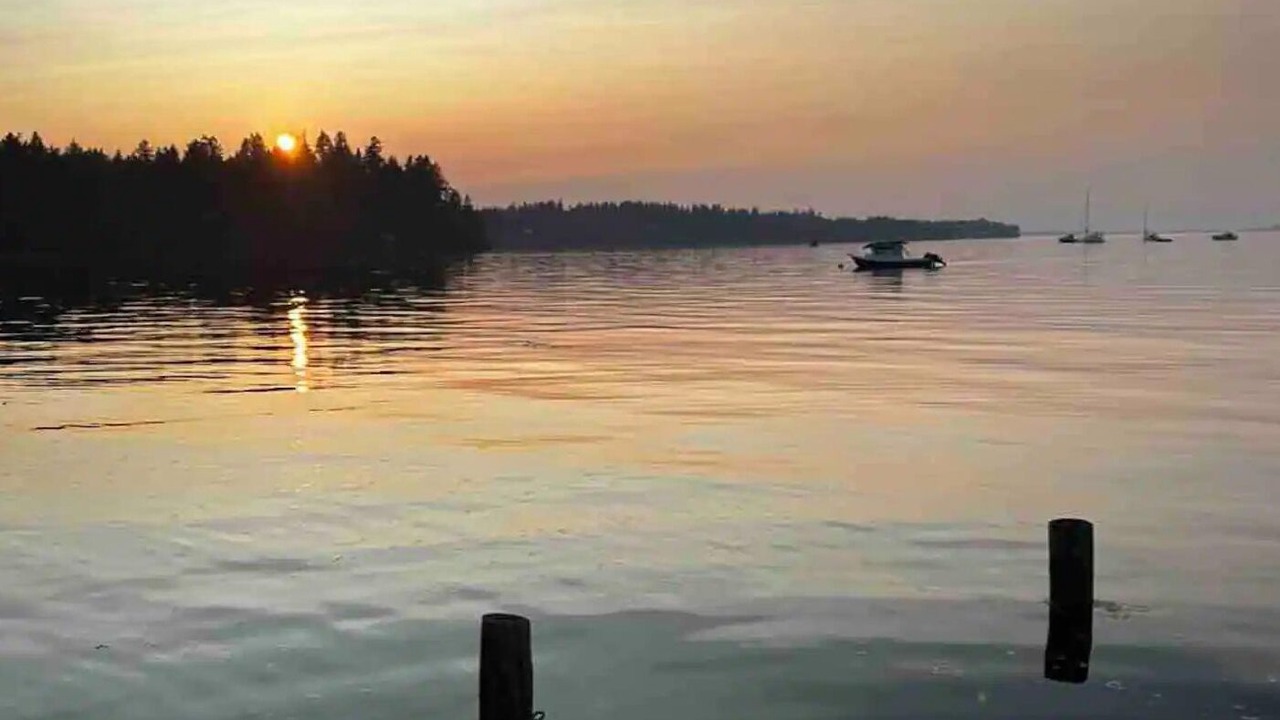 Photo of Others in Tillicum