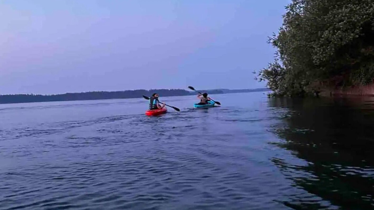 Photo of Others in Tillicum