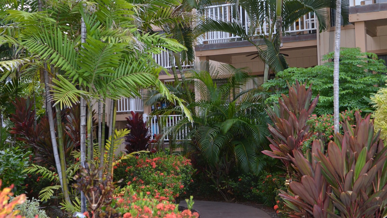 Photo of Outdoor in Kailua-Kona