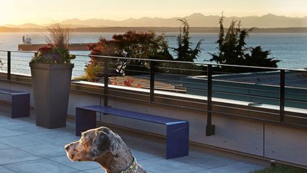 Photo of Patio Balcony in Belltown