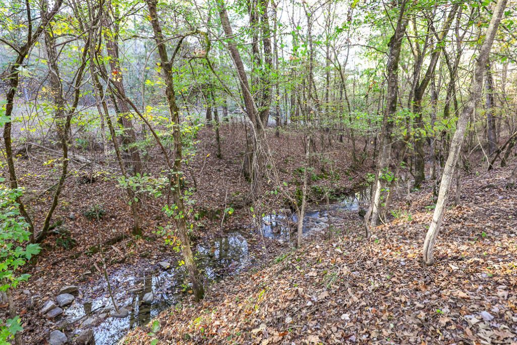 Photo of Outdoor in Benton