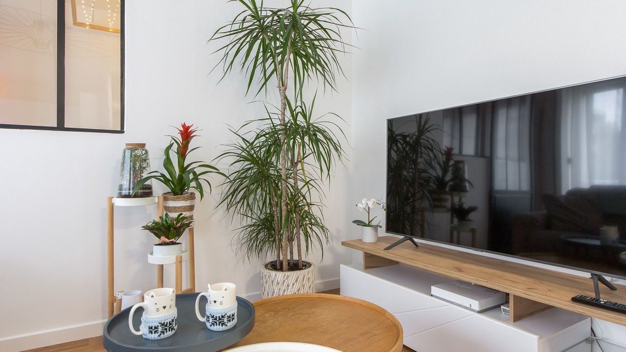 Photo of Livingroom in Zola - Pressense