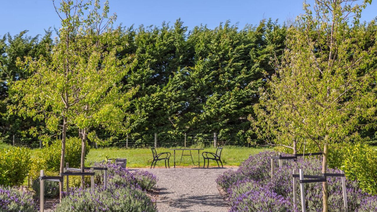 Photo of Outdoor in Dyerville