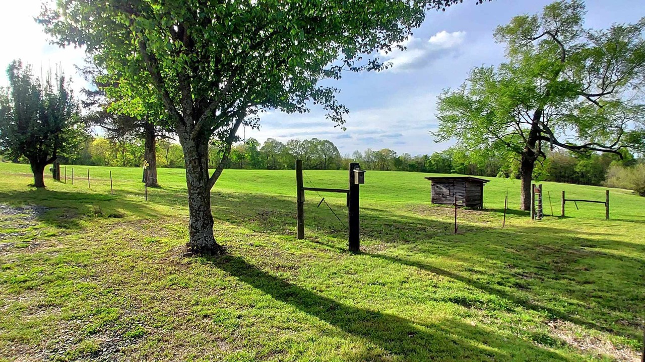Photo of Outdoor in Gillham