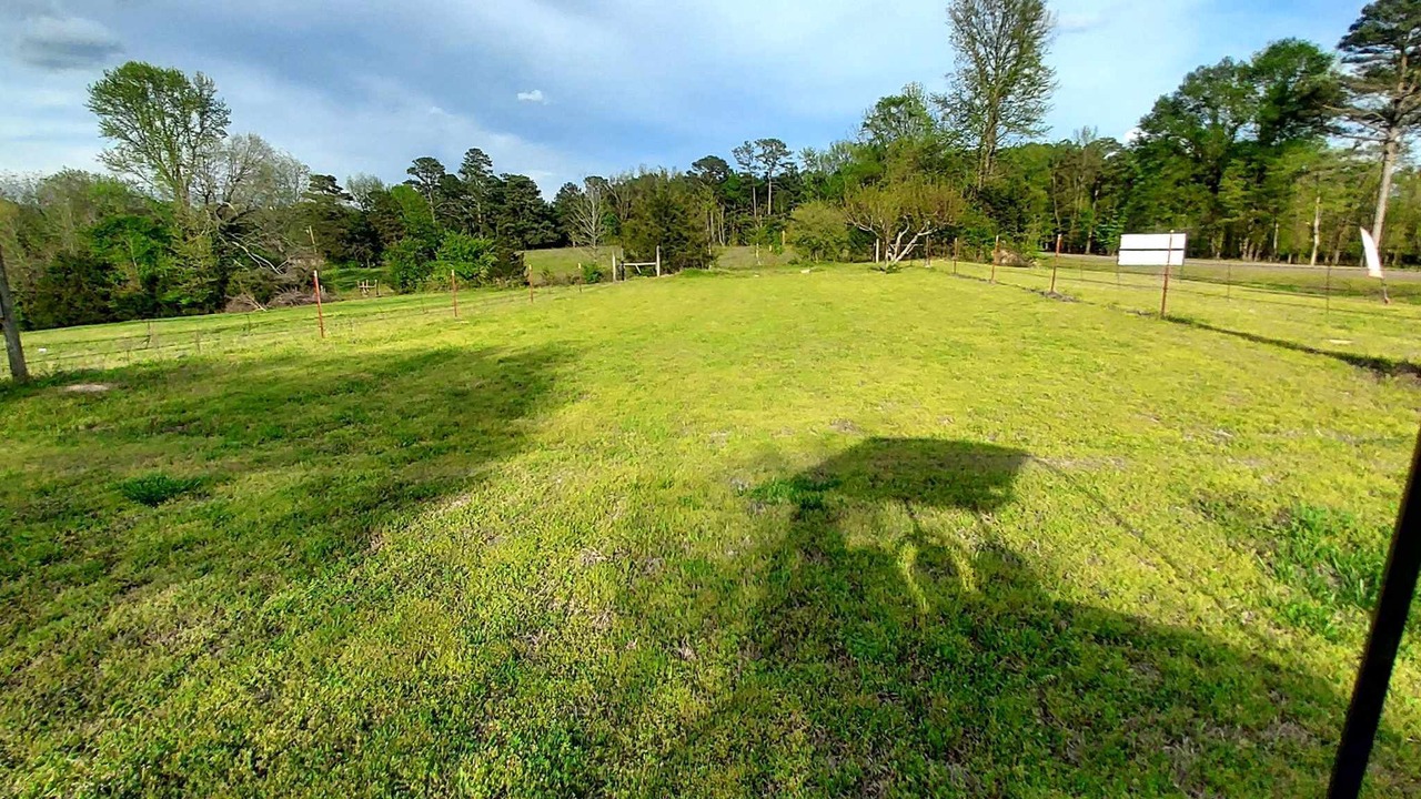 Photo of Outdoor in Gillham