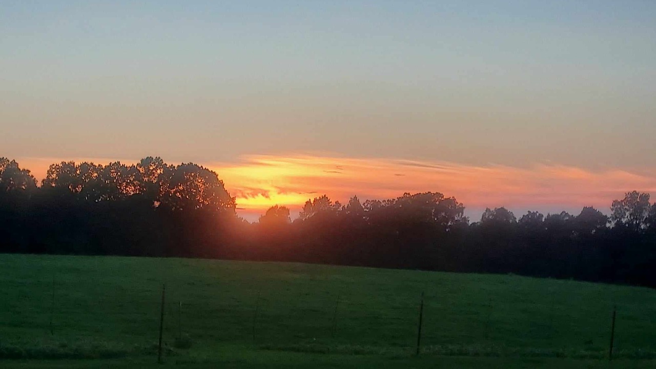 Photo of Outdoor in Gillham