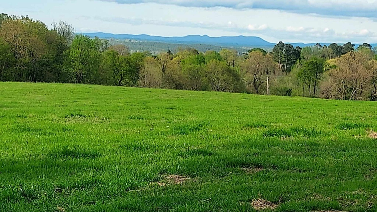 Photo of Outdoor in Gillham