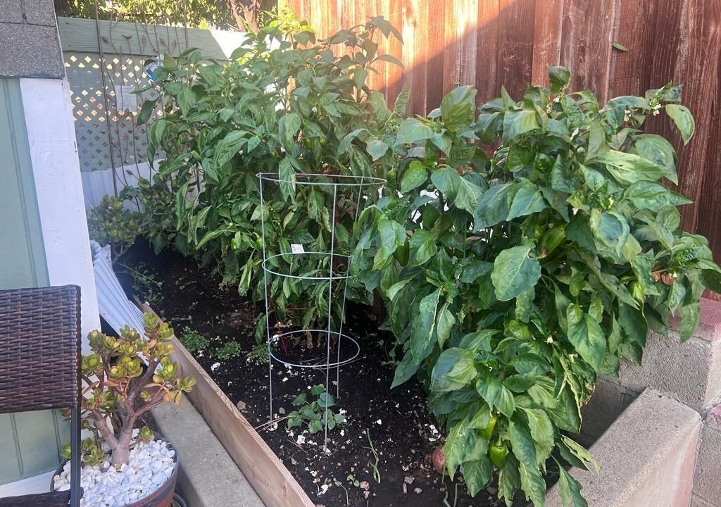 Photo of Outdoor in Nice