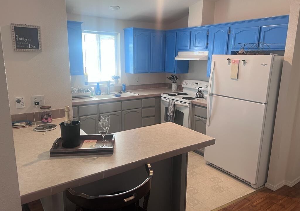 Photo of Others in Nice