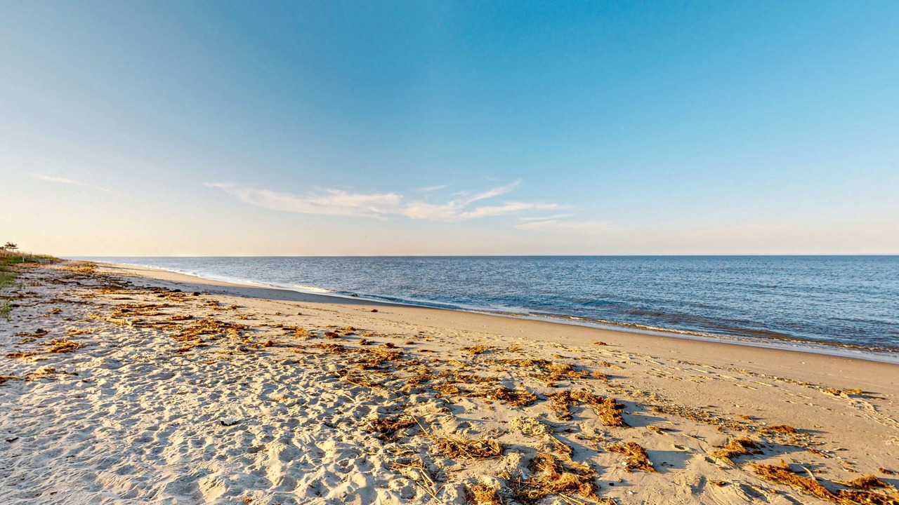 Photo of Others in Prime Hook Beach