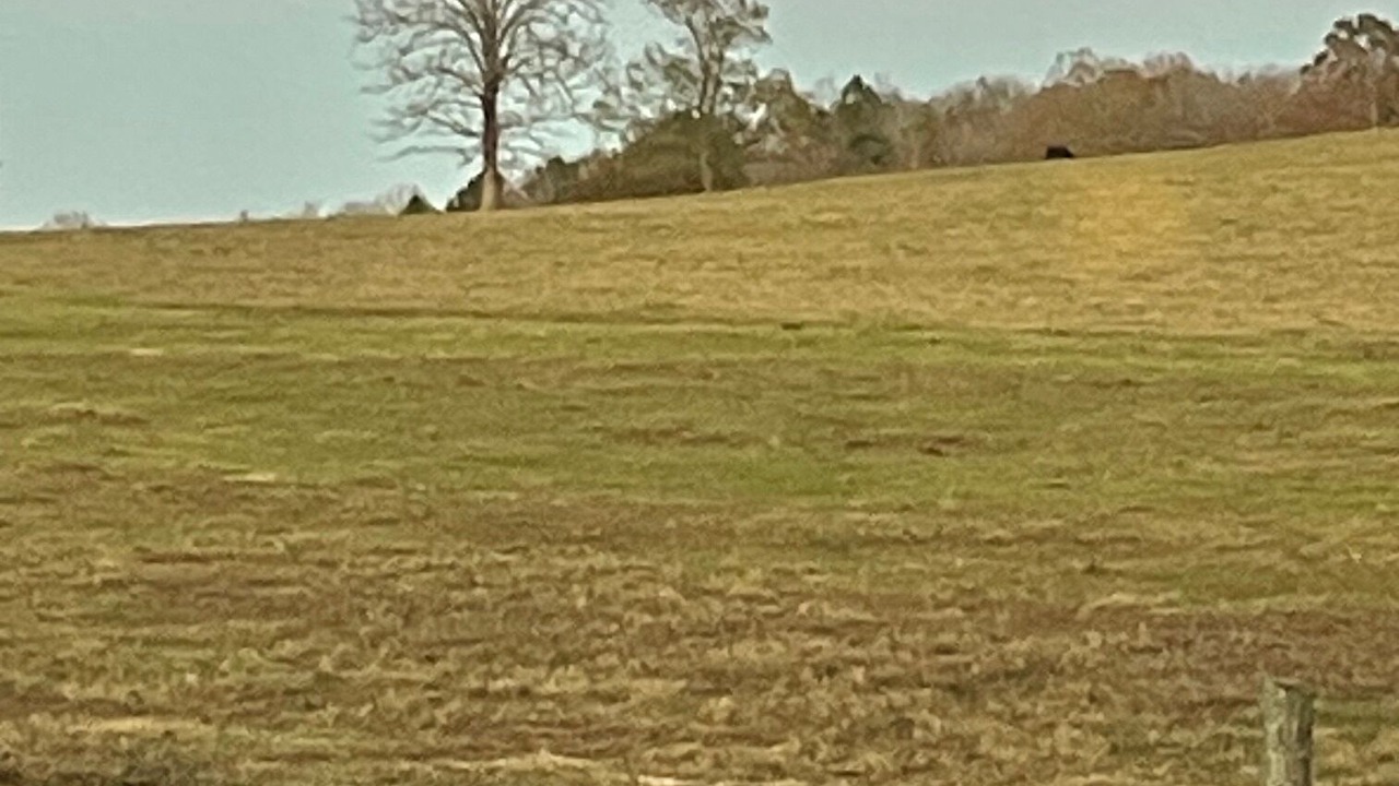 Photo of Others in Smithville