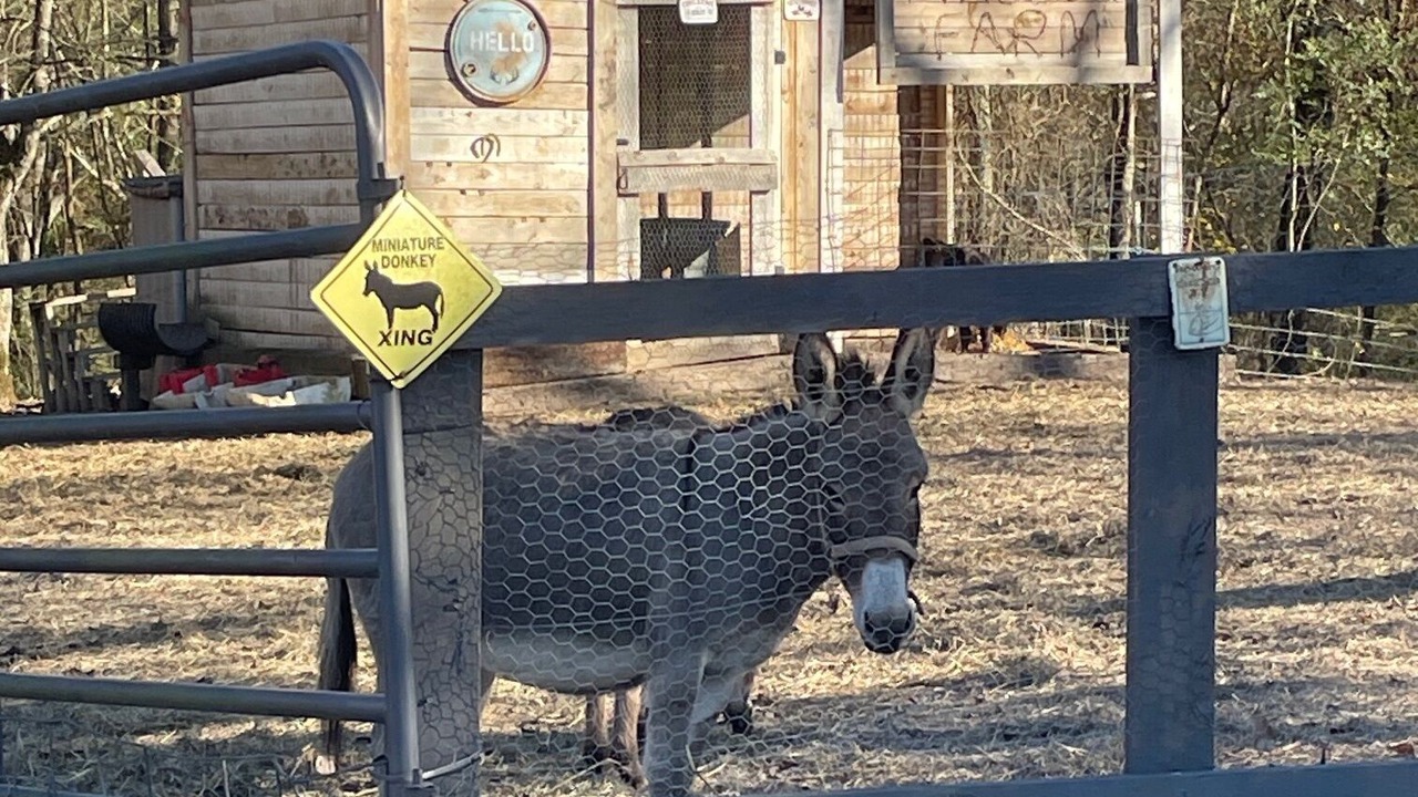 Photo of Others in Smithville