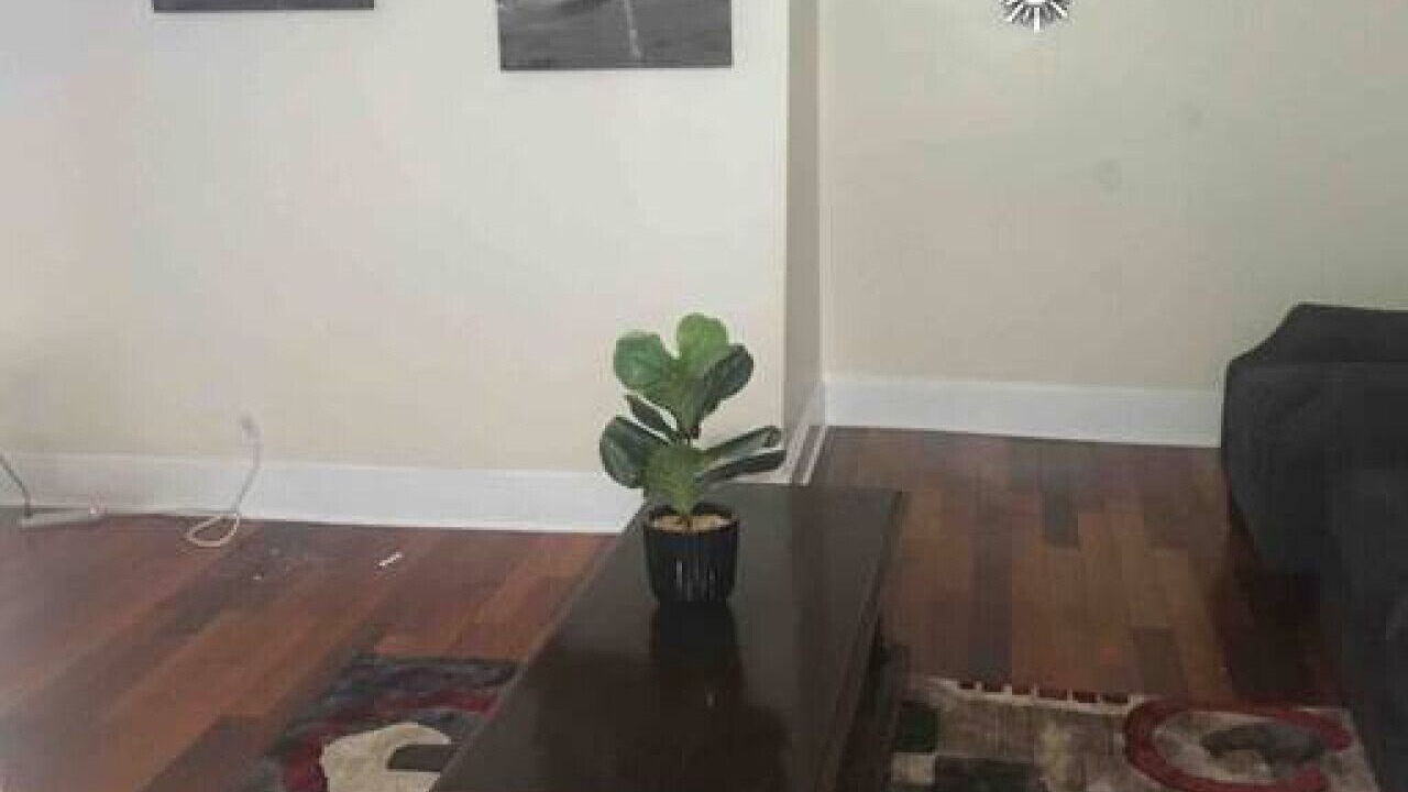 Photo of Others in Niskayuna