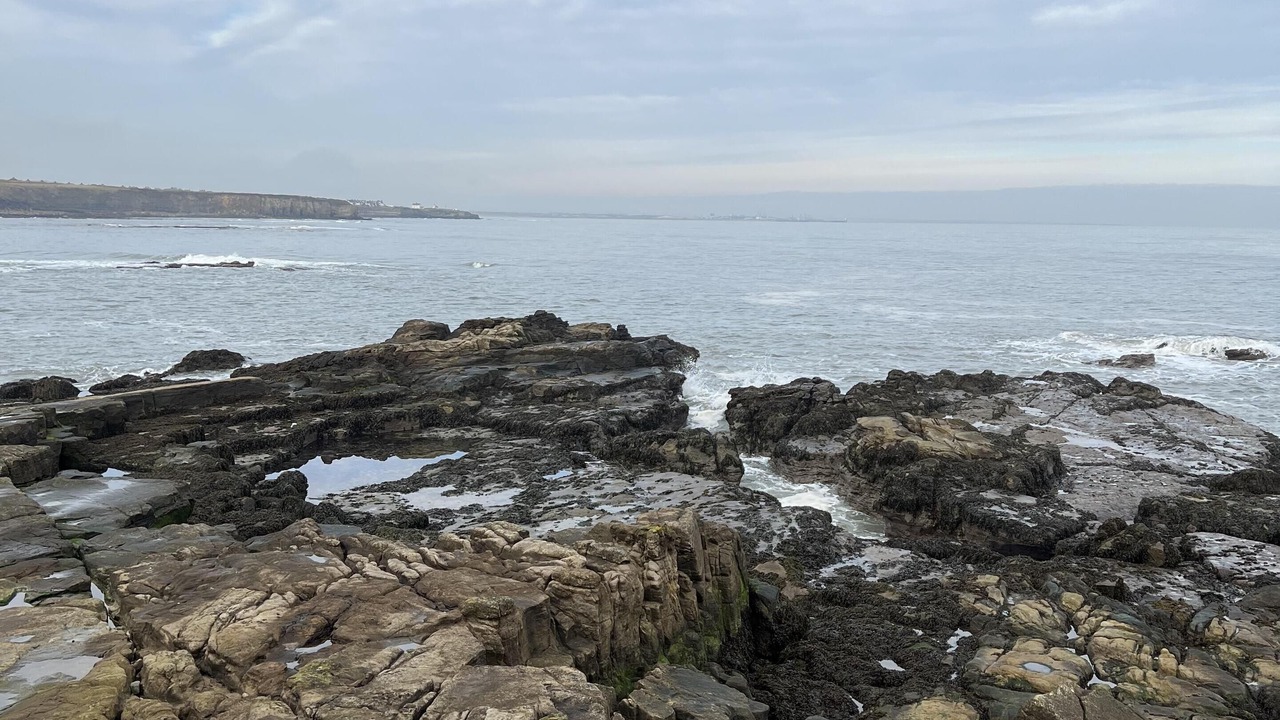 Photo of Others in Whitley Bay