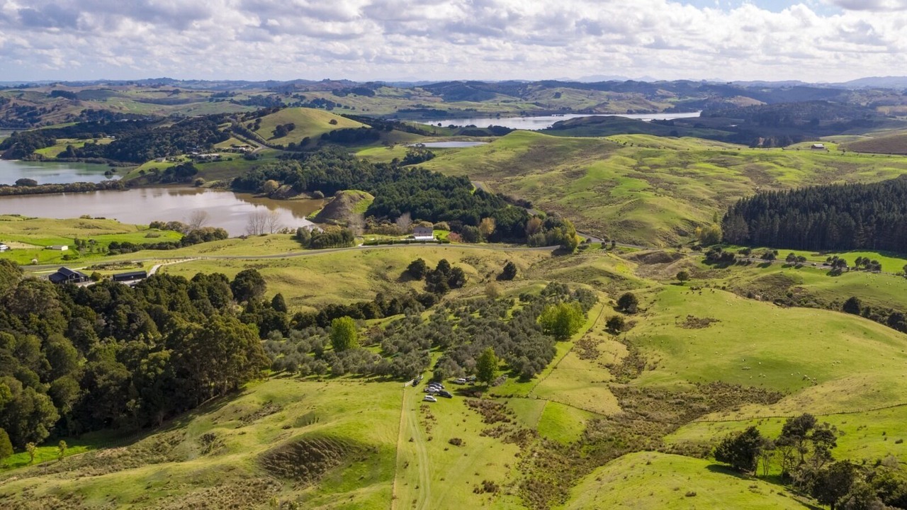 Photo of Others in Kaiwaka