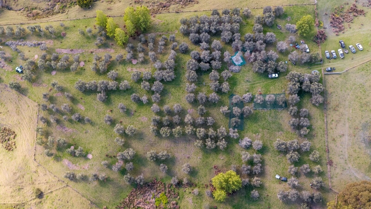 Photo of Outdoor in Kaiwaka