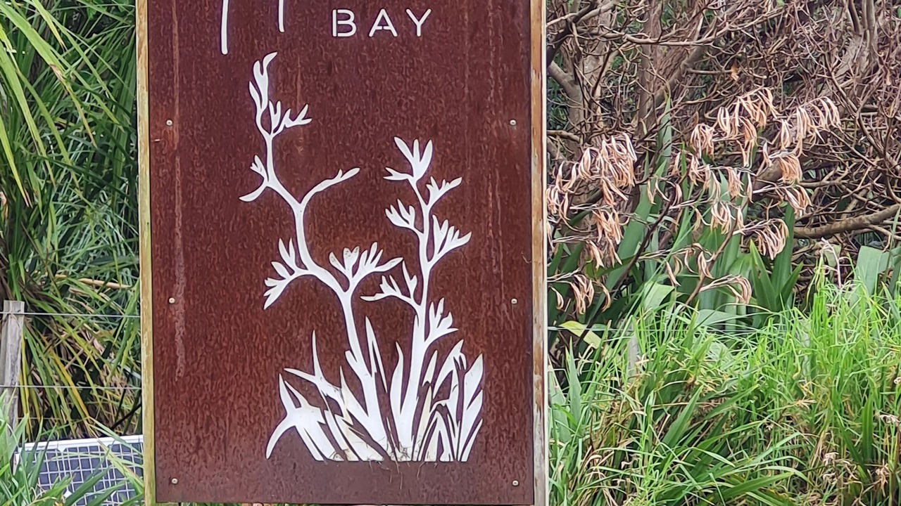 Photo of Outdoor in Kaiwaka