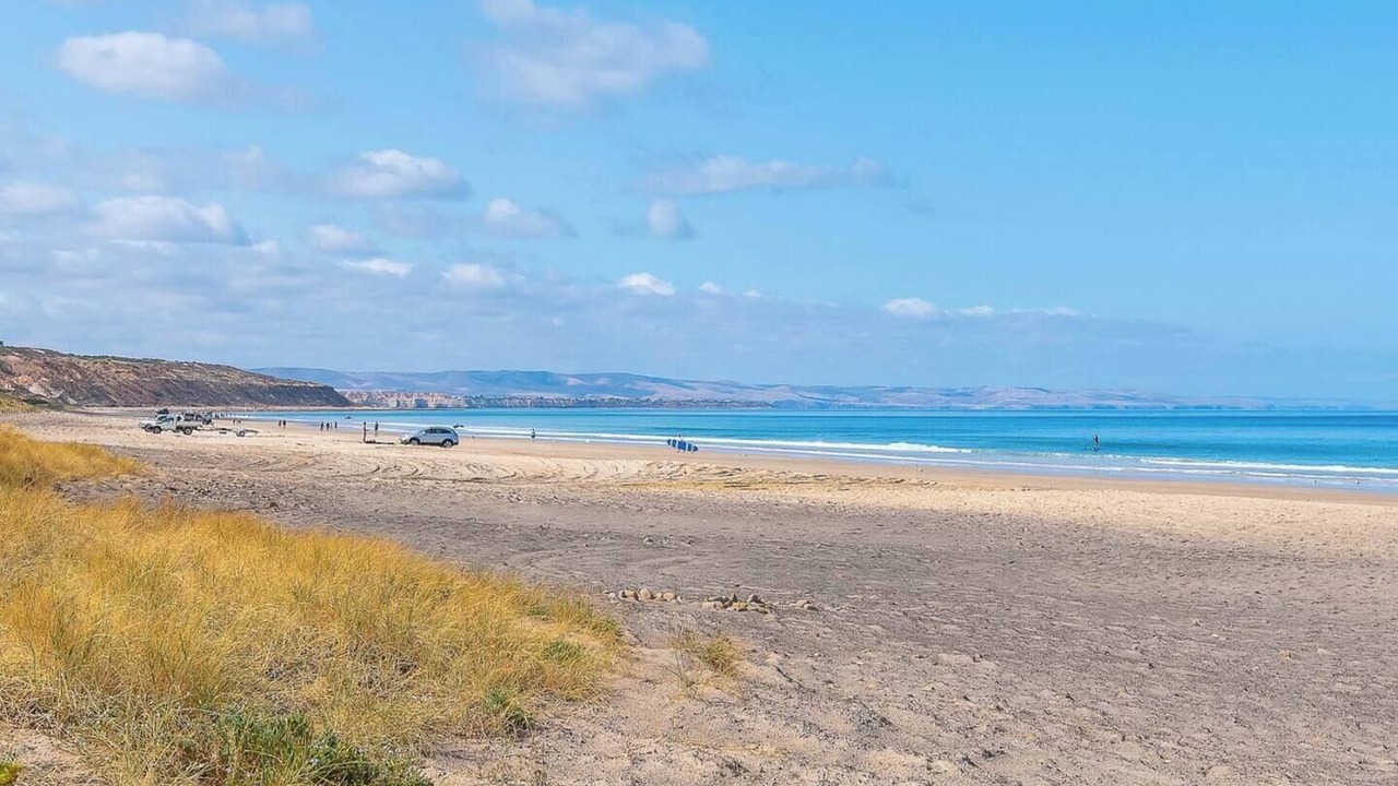 Photo of Others in Moana