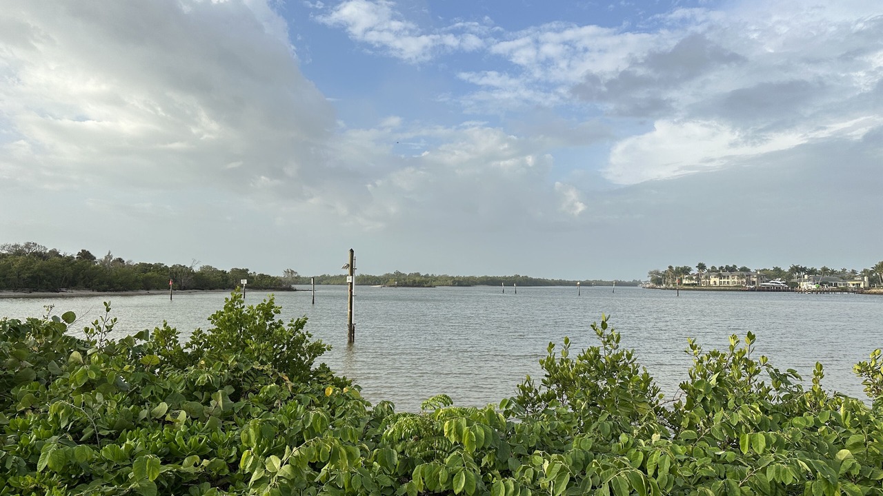 Photo of Others in East Naples