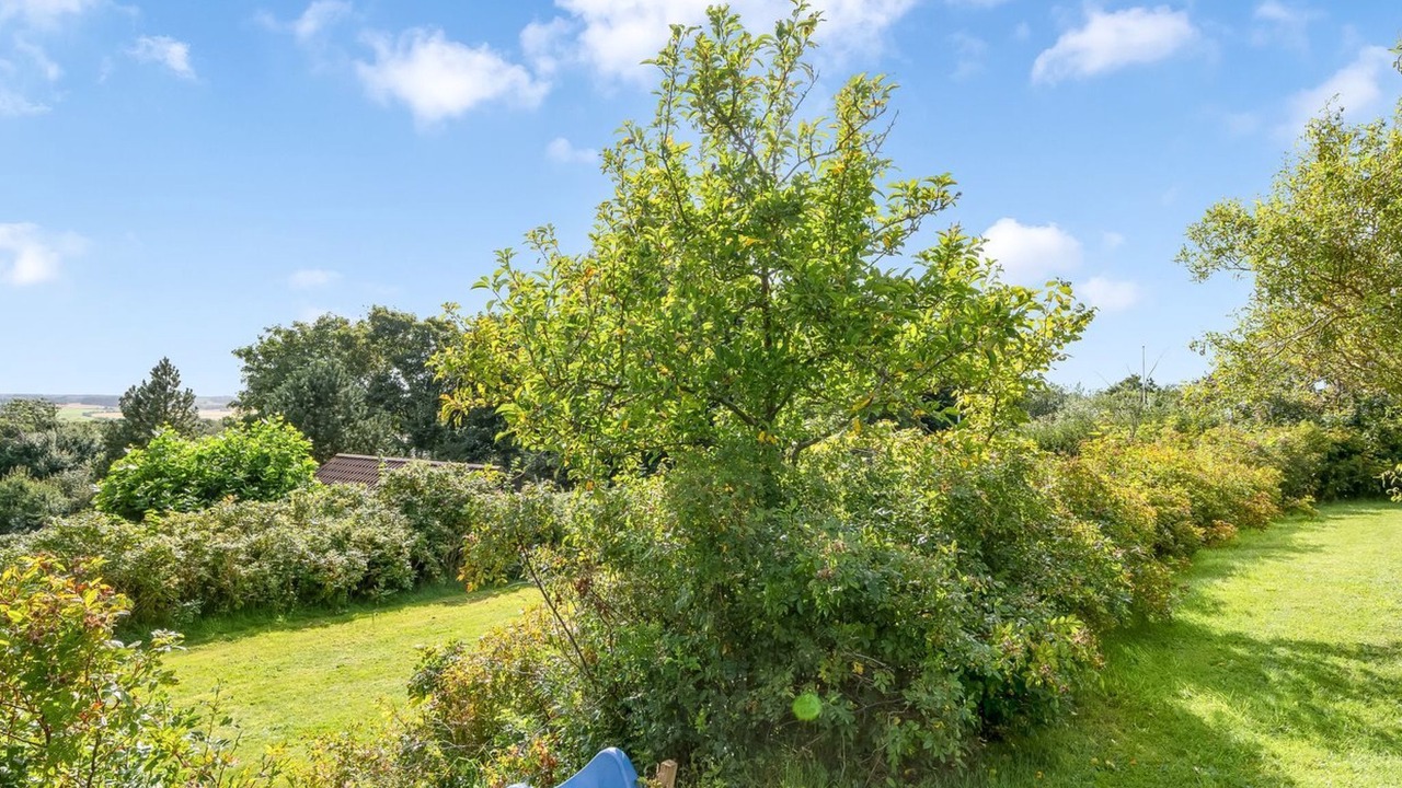 Photo of Outdoor in Remmer Strand