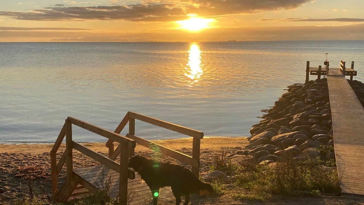 Photo of Outdoor in Pøt Strandby