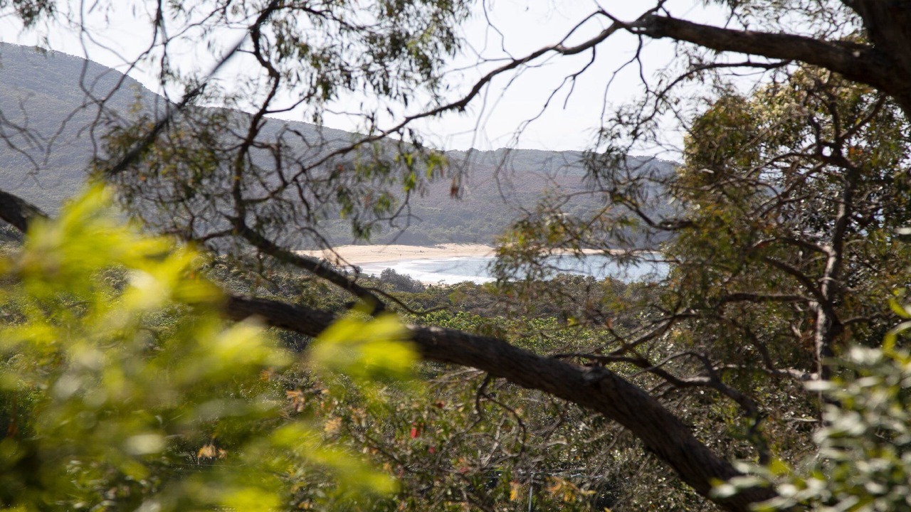 Photo of Outdoor in Killcare