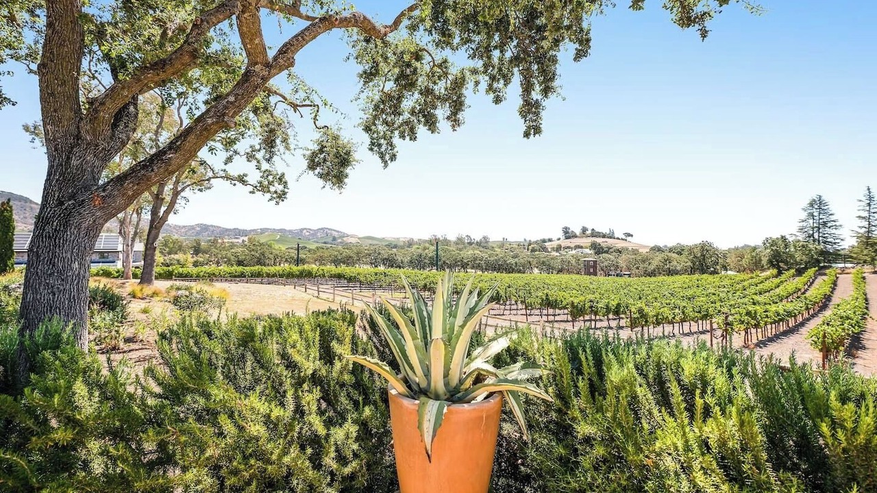 Photo of Outdoor in Sonoma