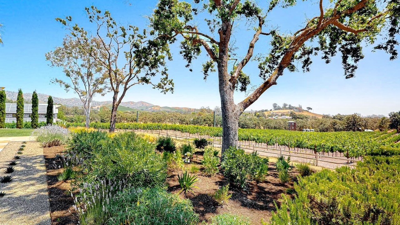 Photo of Outdoor in Sonoma