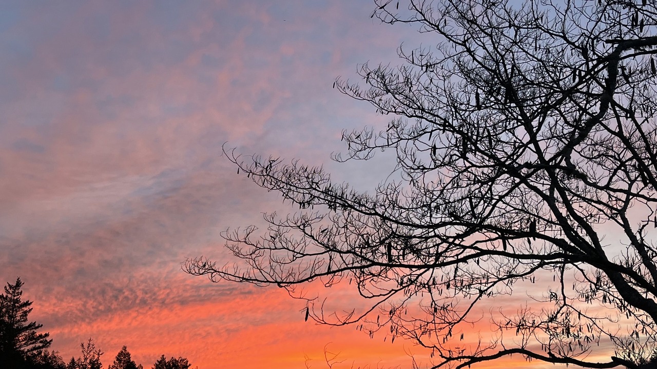 Photo of Others in Nicasio