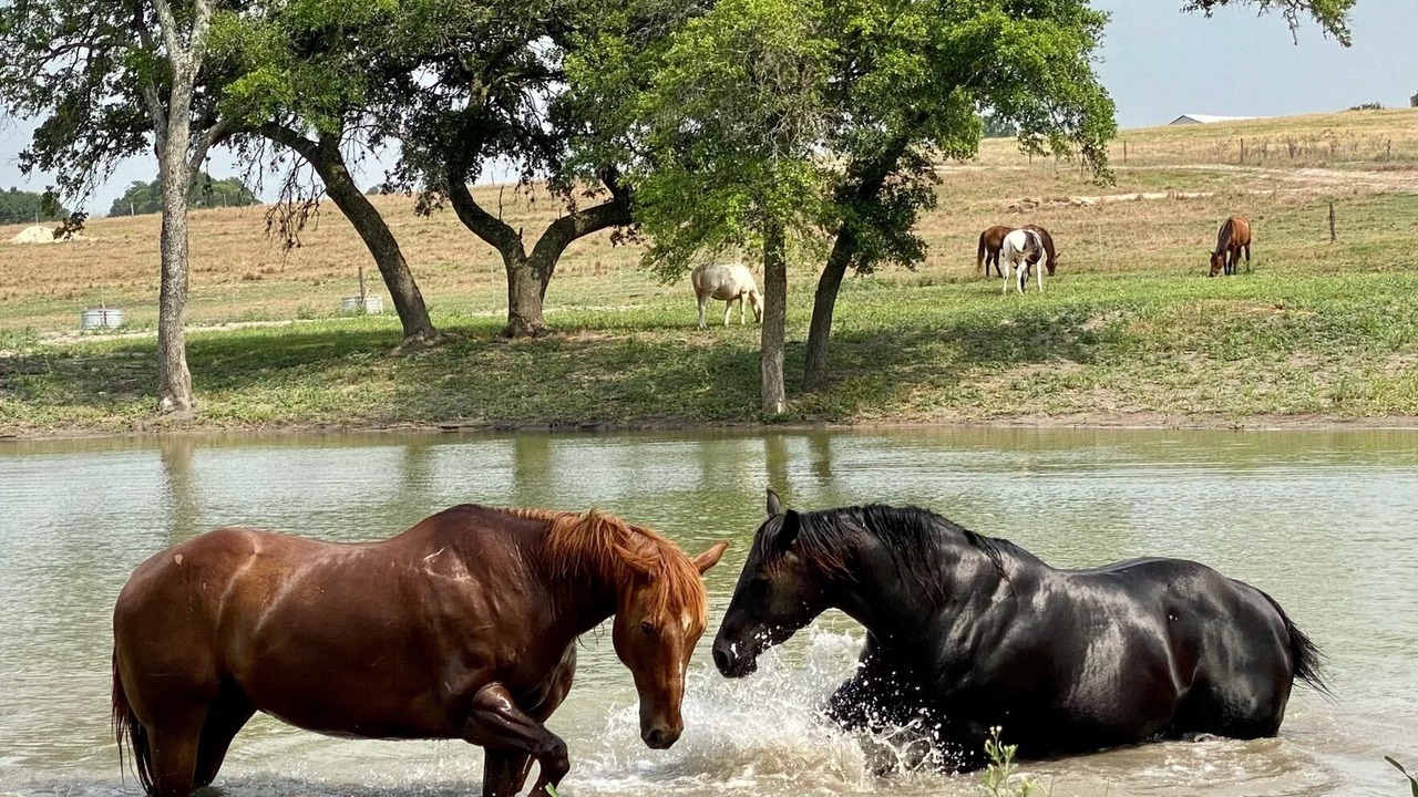 Photo of Others in Brenham