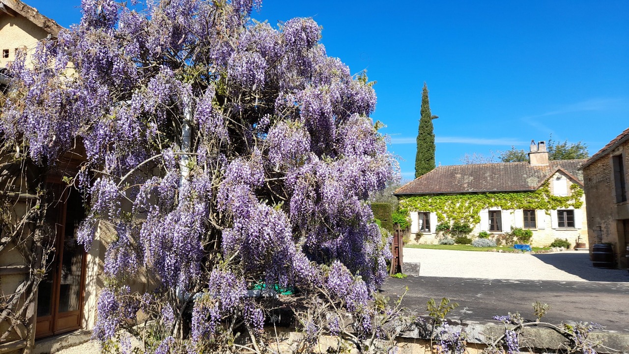 Photo of Outdoor in Marminiac