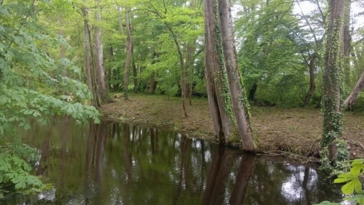 Photo of Others in Montbarrois