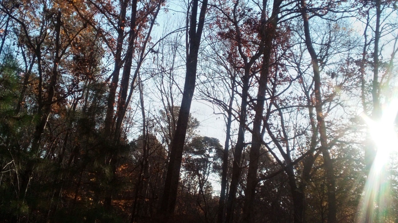 Photo of Others in Wake Forest