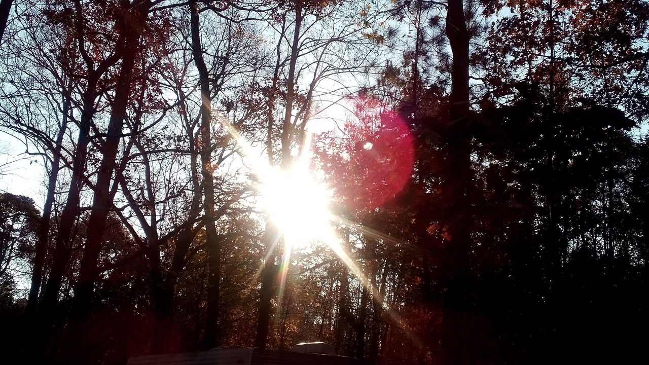 Photo of Outdoor in Wake Forest