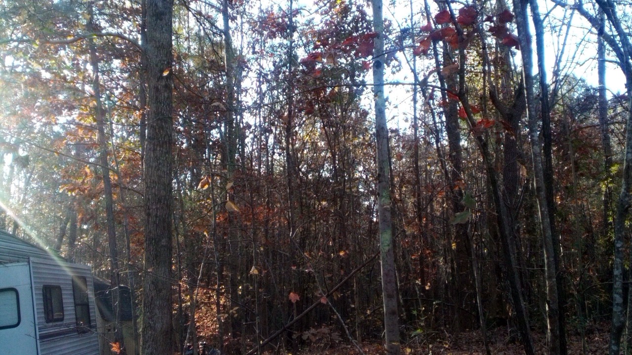 Photo of Outdoor in Wake Forest