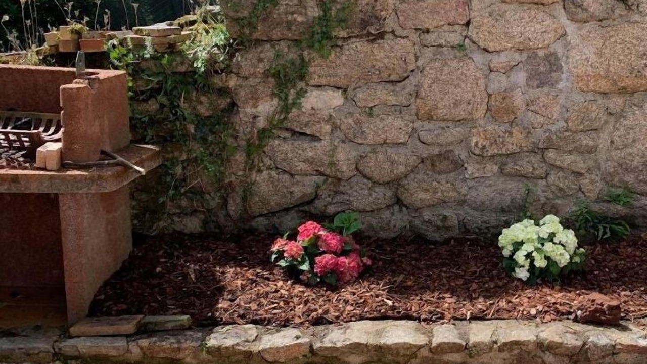 Photo of Outdoor in Razes