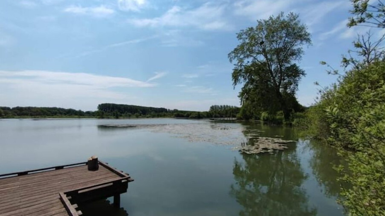 Photo of Others in Arry