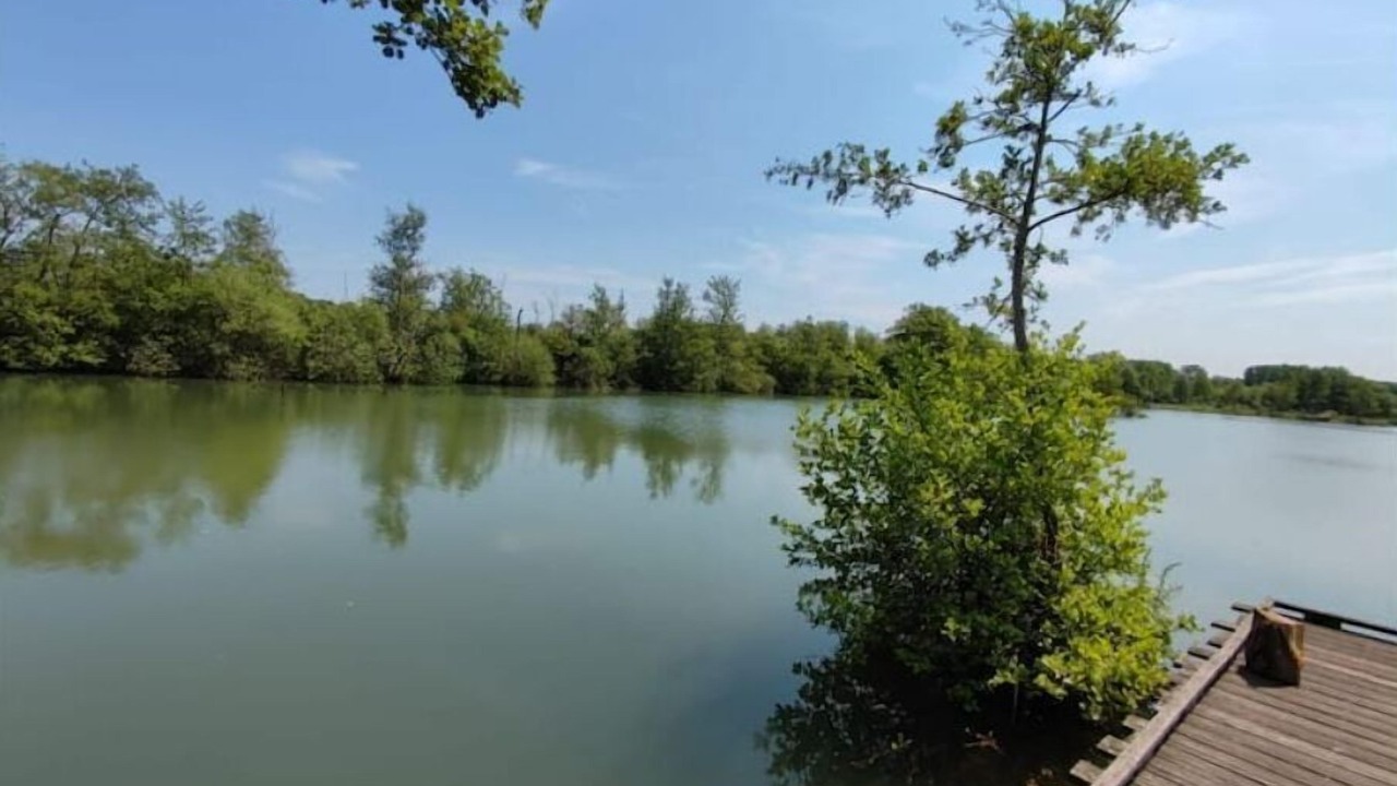 Photo of Outdoor in Arry