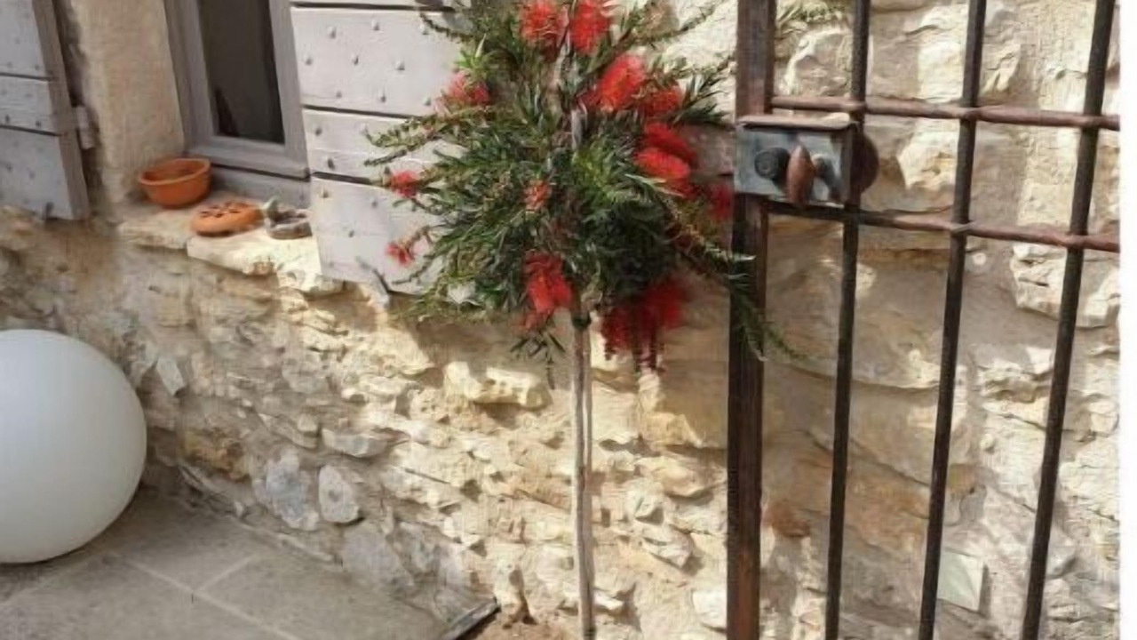 Photo of Outdoor in Joucas