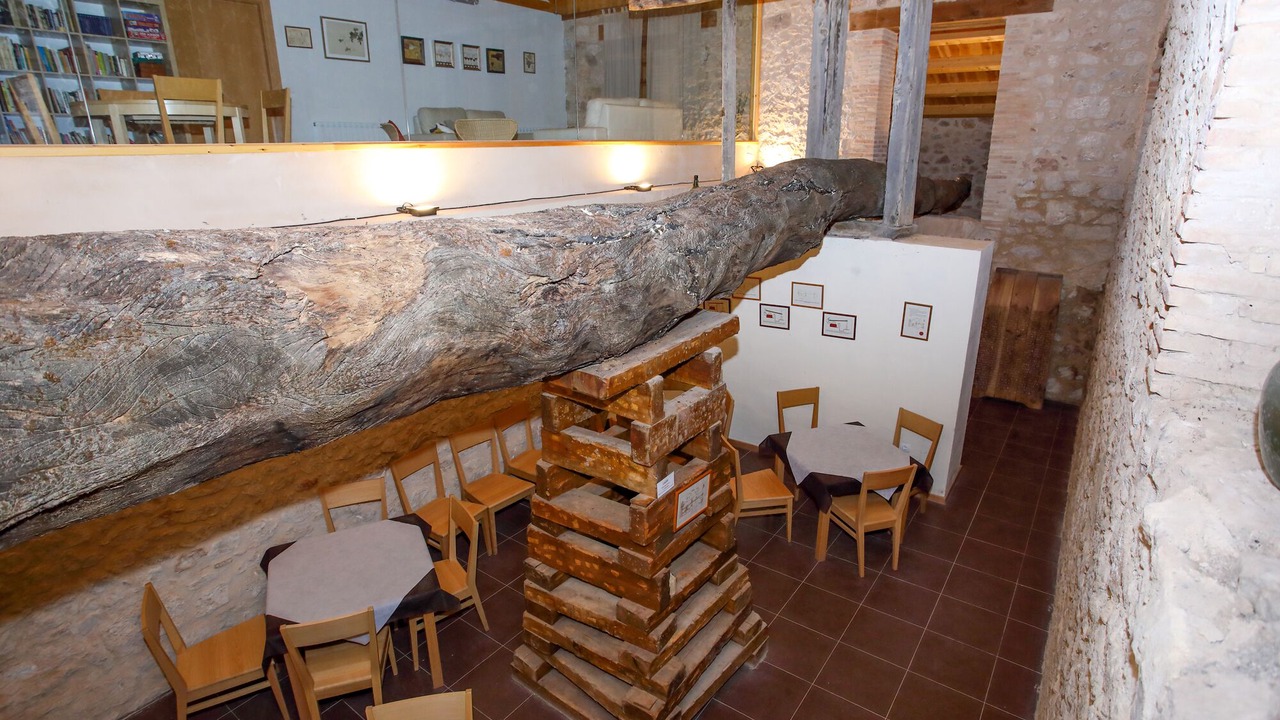 Photo of Others in La Rasa