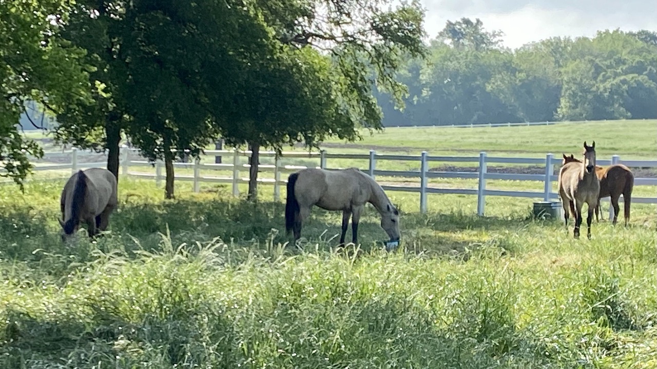 Photo of Others in Brenham