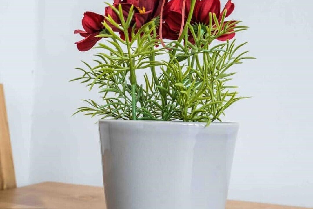 Photo of Others in Moseley