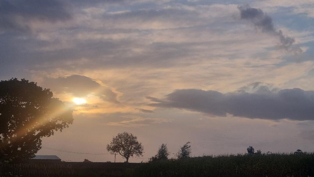 Photo of Others in Wesham