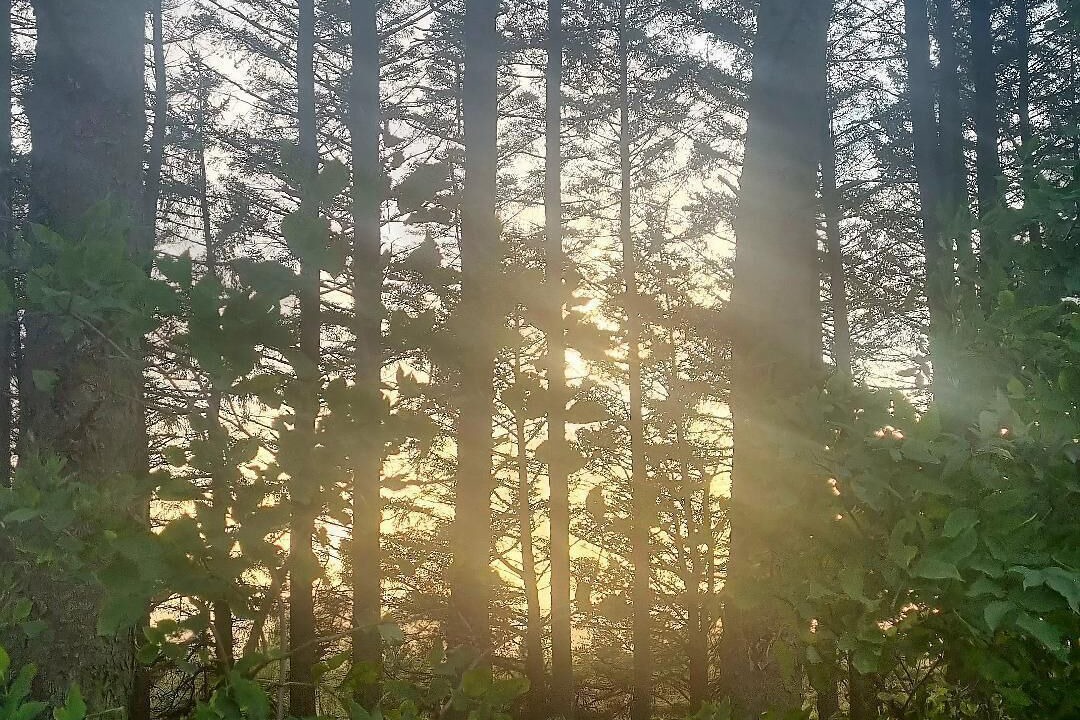 Photo of Others in Wesham