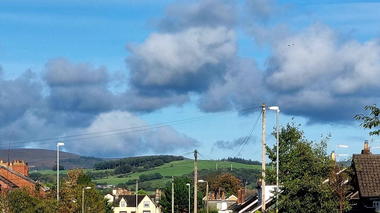 Photo of Others in Wesham