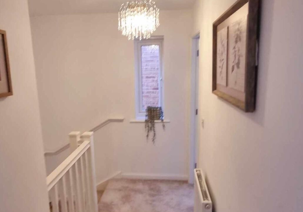 Photo of Others in Wesham