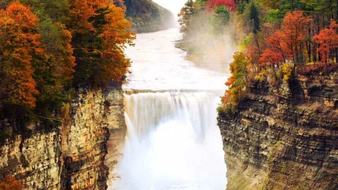 Photo of Others in Dansville