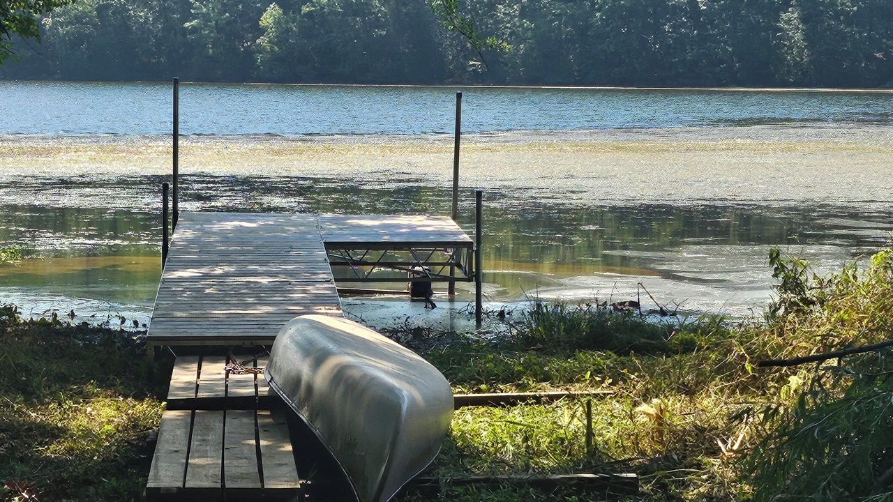 Photo of Others in Scottsboro