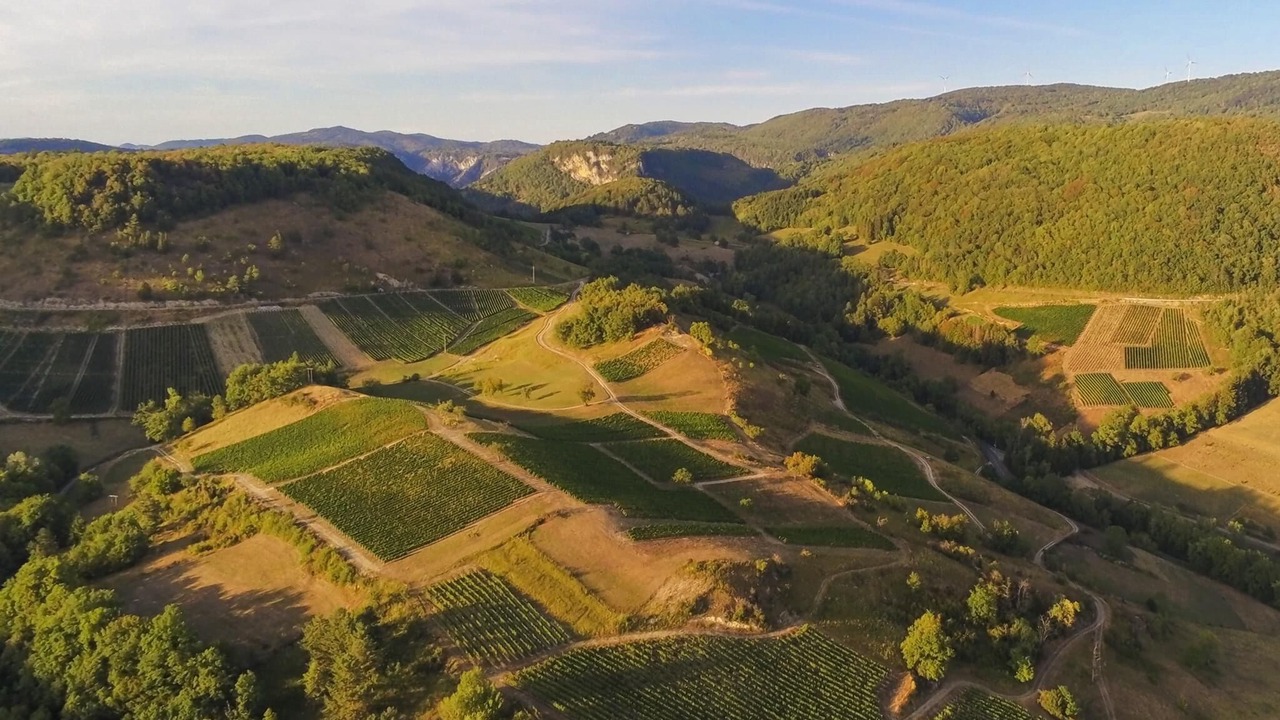 Photo of Outdoor in Boyeux-Saint-Jerome