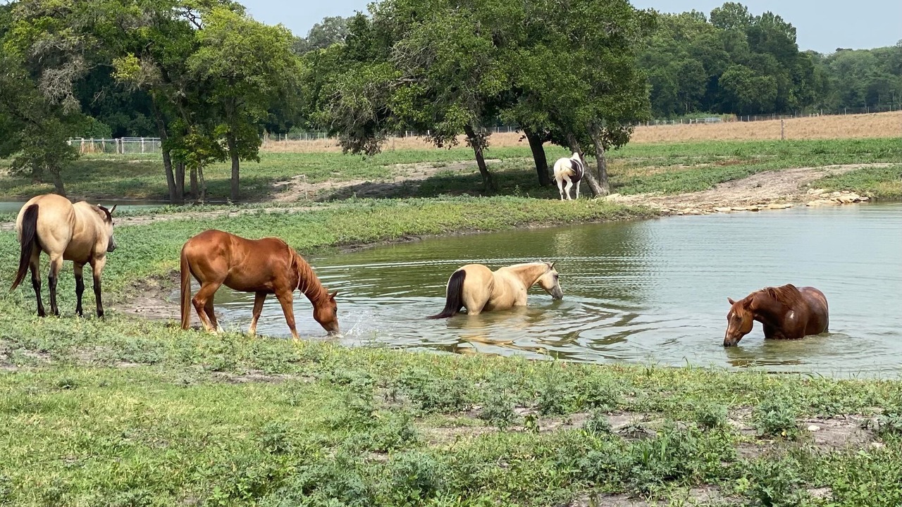 Photo of Others in Brenham